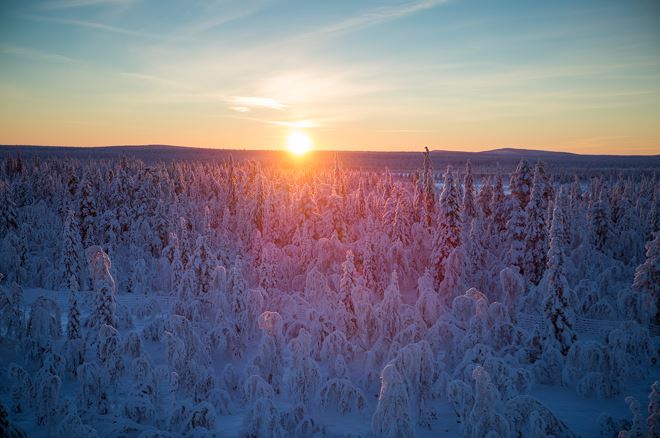 Solnedgång över snötäckt skog