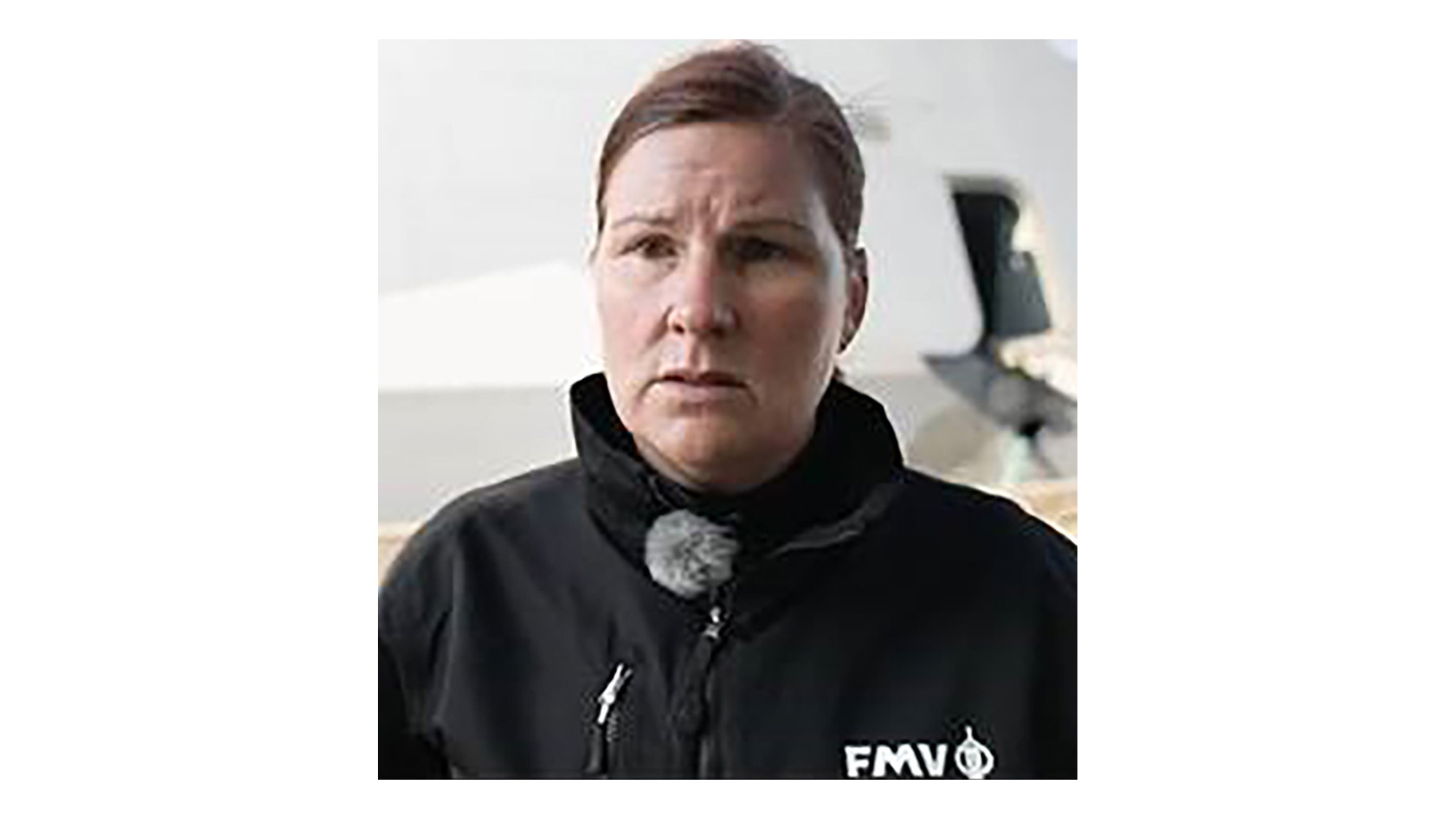 Anna Karin Werner, handläggare Luftförsvar FMV Marinmateriel.