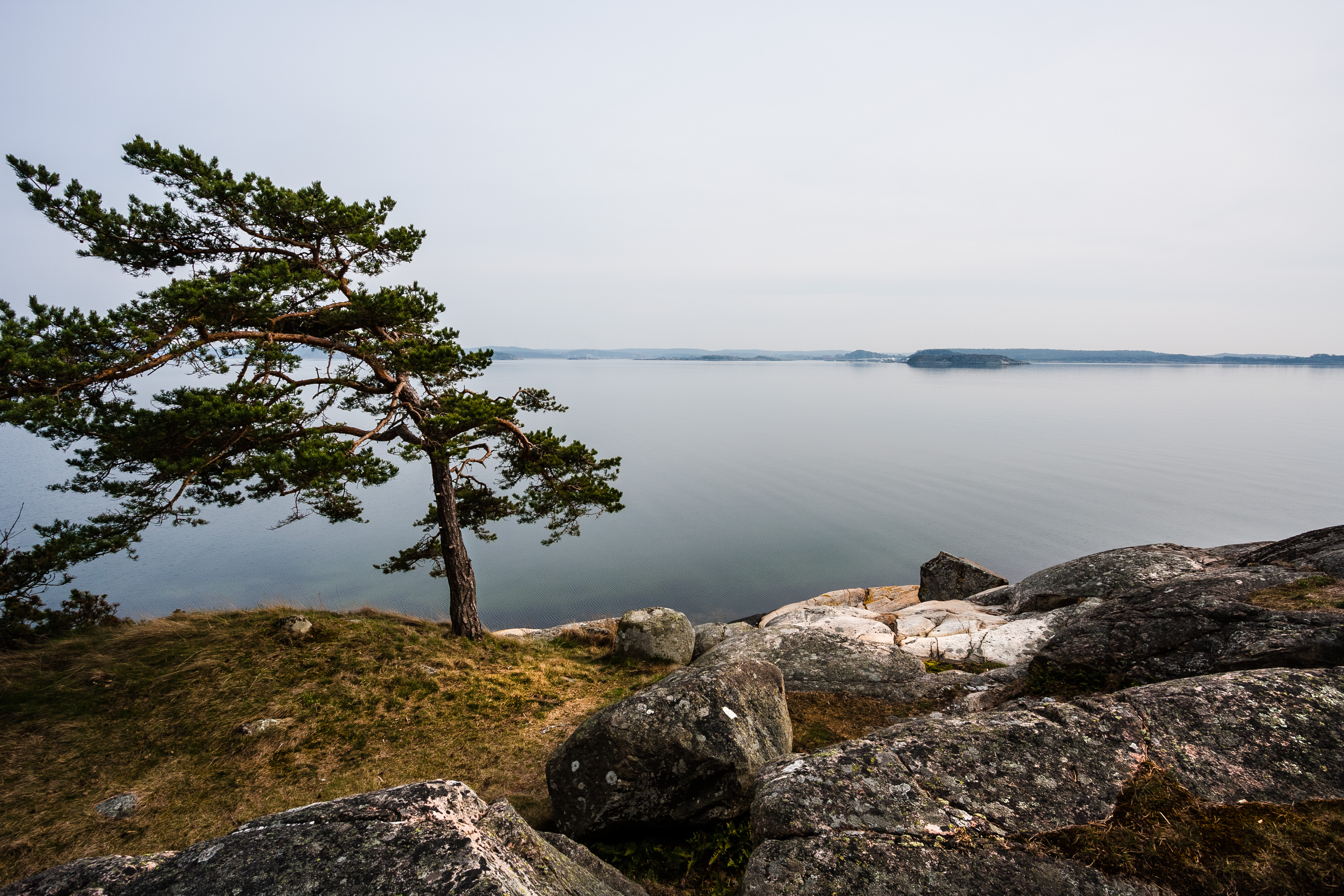 Kungsbackafjorden.