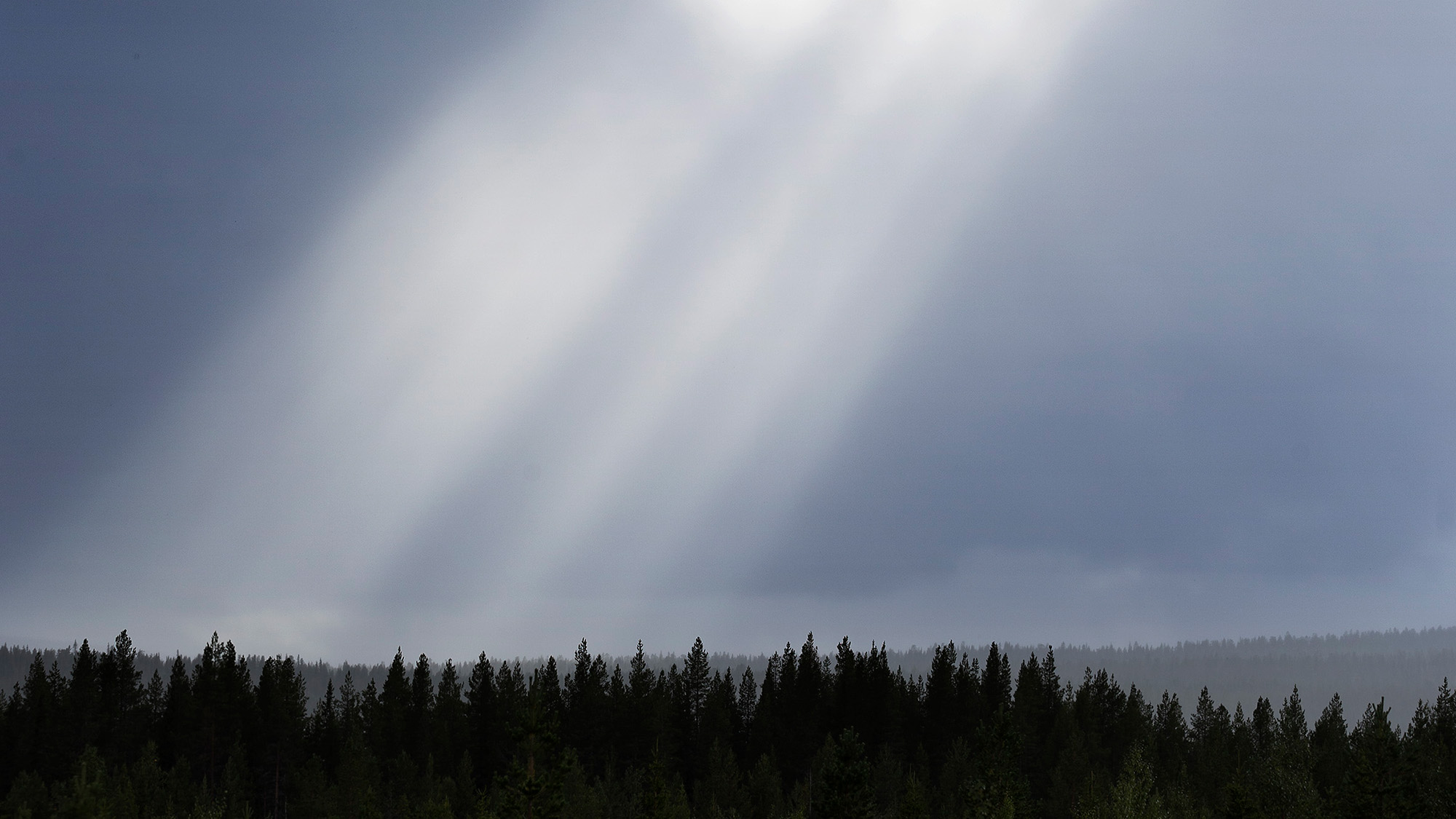 Natur i provområdet i Vidsel. Foto: Anders Åberg/FMV