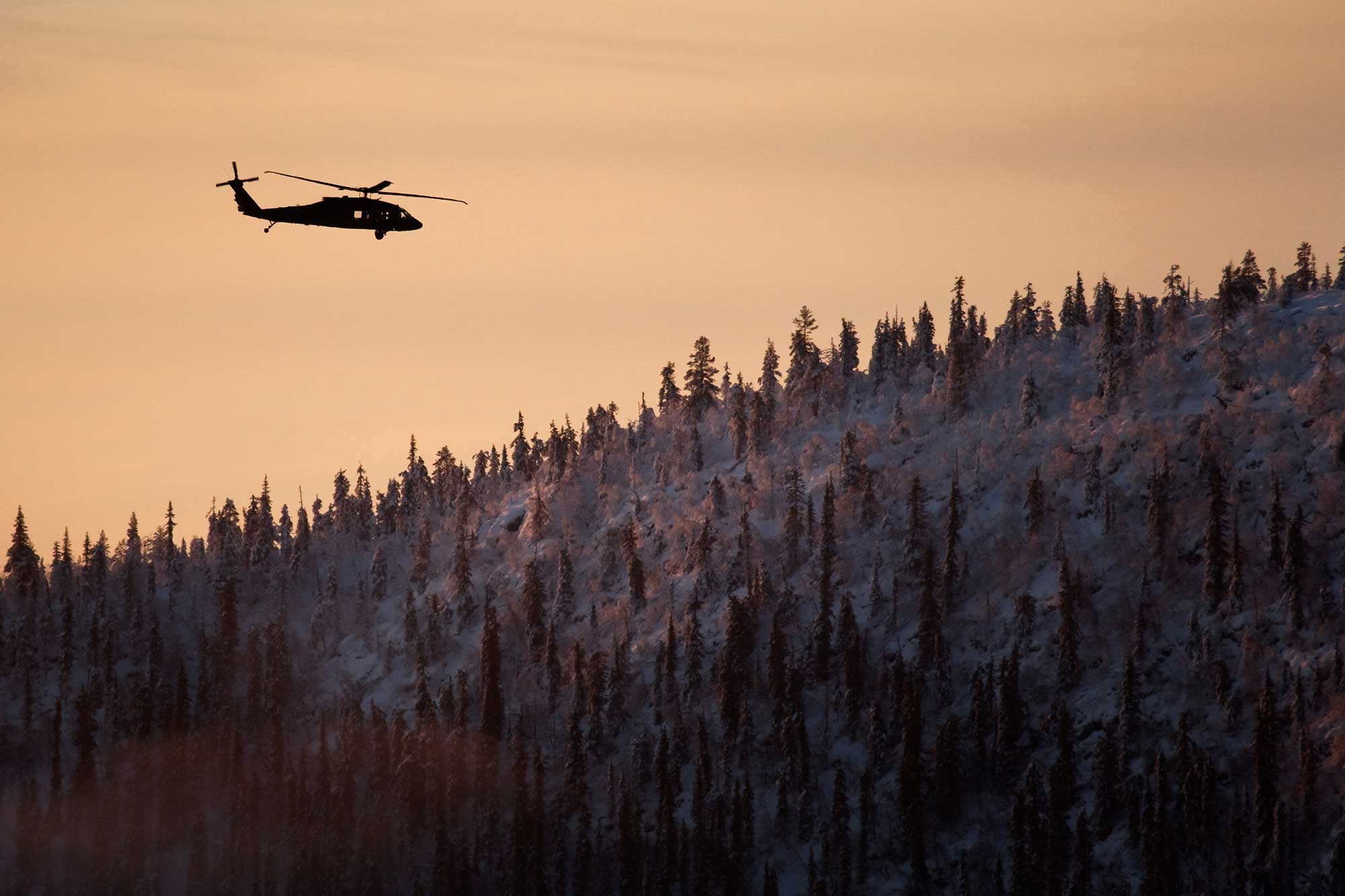 Helikopter 16 över skog